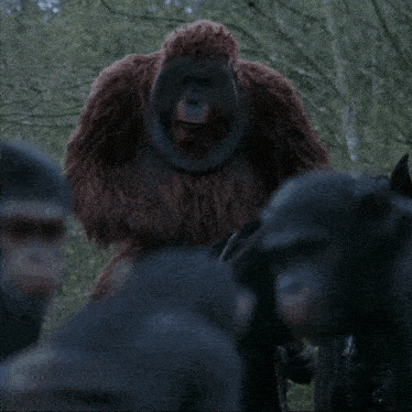 Planet Of The Apes Maurice GIF - Planet Of The Apes Maurice Horse GIFs
