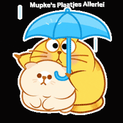 a sticker of a cat holding an umbrella with the words mupke 's plaatjes allerlei below it