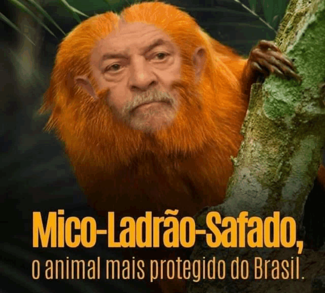 a picture of a monkey with the name mico-ladrão-safado at the bottom