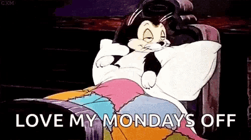 a cartoon cat is laying in bed with a pillow and the words `` love my mondays off ''