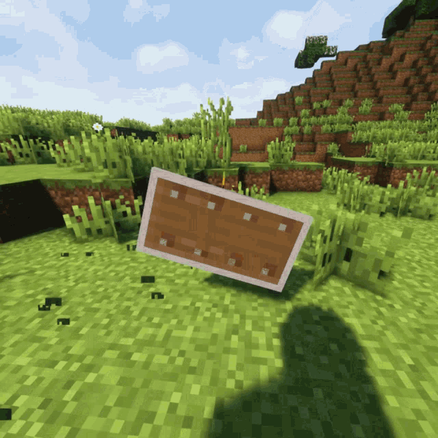 a wooden shield is floating in the air in a video game
