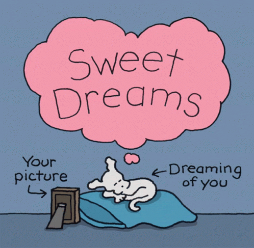 Good Night Sweet Dreams GIF - Good Night Sweet Dreams Your Picture GIFs