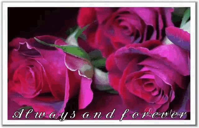 a picture of pink roses with the words always and forever below them
