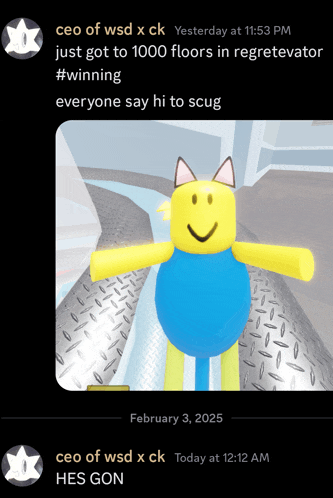a screenshot of a chat between ceo of wsd x ck and someone else