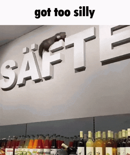 a squirrel climbs on the word safte in a store