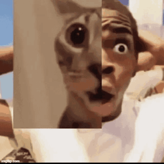 a man is holding a picture of a cat 's face in front of him .