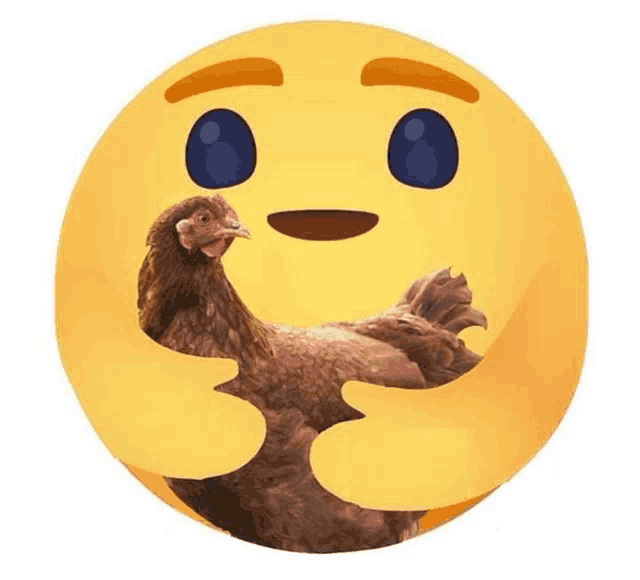a yellow smiley face with a brown chicken in it