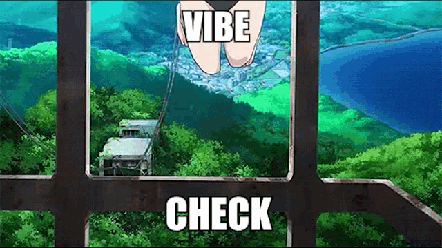 a woman in a bikini is flying through the air with the words vibe check written below her .