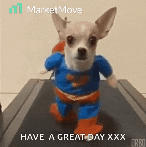 a small dog wearing a superman costume is running on a treadmill ..