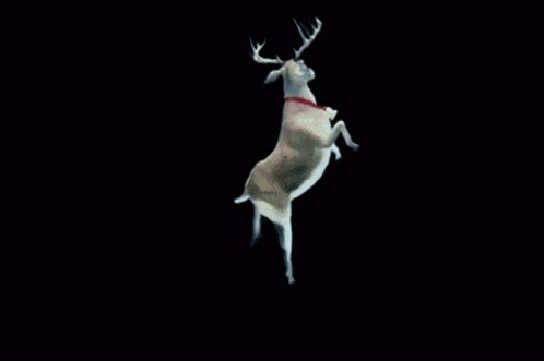 Deer Deer Dancing GIF - Deer Deer Dancing Dancing Deer GIFs