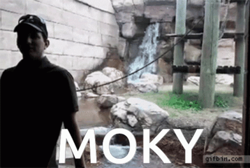 Monky Bhop GIF - Monky Bhop Nohbat GIFs