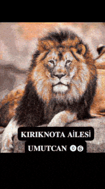 a picture of a lion with the words " kiriknota ailesi umutcan 06 " on the bottom