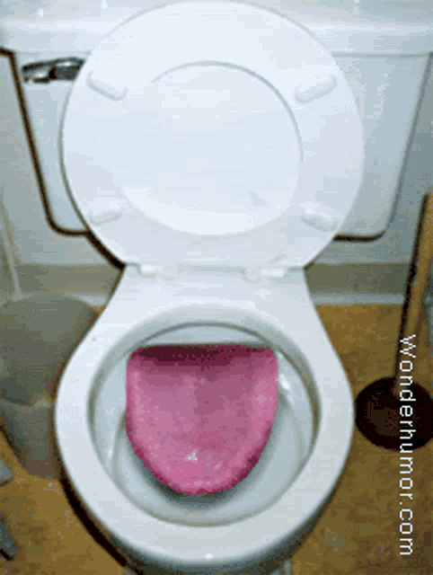 a toilet with a pink towel sticking out of it and wonderhumor.com in the corner