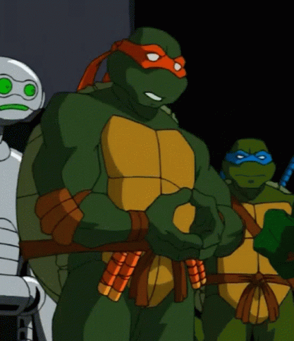 Tmnt Teenage Mutant Ninja Turtles GIF - Tmnt Teenage Mutant Ninja Turtles 2003 GIFs