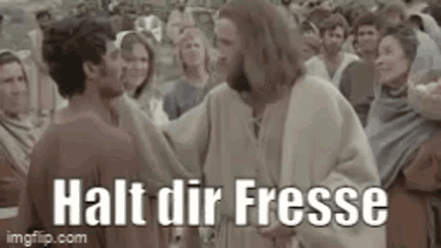Halt Die Fresse Fistus GIF