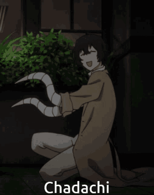 Dazai Osamu Bungo Stray Dogs GIF