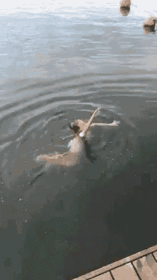 a person is swimming in a body of water with a dog .