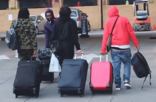 Luggages Packed Up GIF - Luggages Packed Up Trolleys GIFs