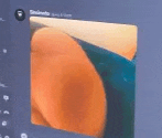a close up of a person 's butt on a screen .