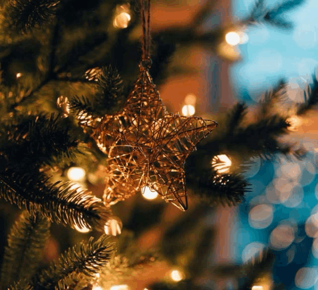 a christmas tree with a star hanging from it