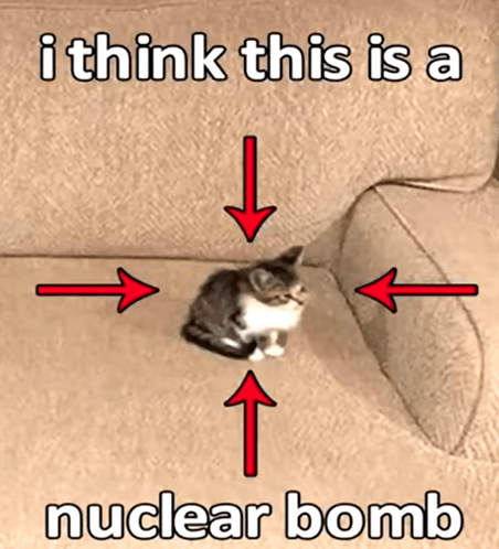 Cat Meme I Think This Is A Neclear Bomb GIF - Cat Meme I Think This Is A Neclear Bomb Nuclear Bomb GIFs