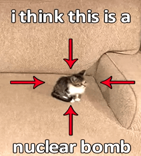 a cat is sitting on a couch with arrows pointing to it and the words i think this is a nuclear bomb