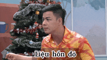 a man standing in front of a christmas tree with lieu hon do written on the bottom right