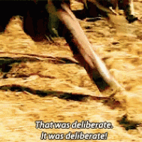 a close up of a horse 's leg with a caption that says that was deliberate it was deliberate !