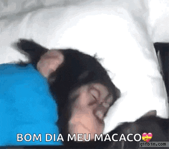 a monkey is sleeping on a pillow with the words bom dia meu macaco written on the bottom