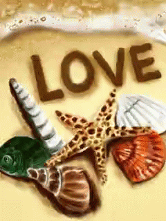 the word love is written in the sand with seashells