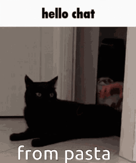 a black cat is laying on the floor next to a door with the words `` hello chat from pasta '' written above it .