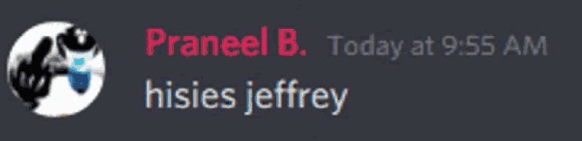 a screenshot of a discord conversation with praneel b.