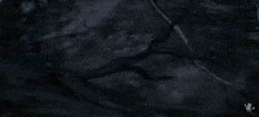 a video game character is holding a sword in a dark forest