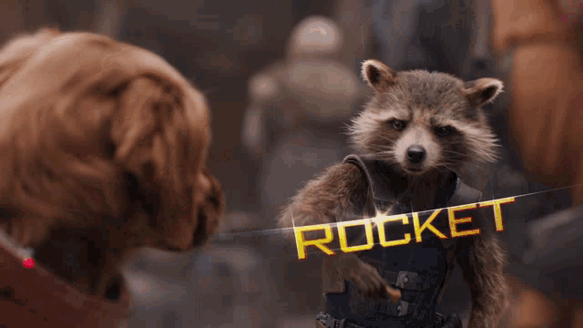 a raccoon named rocket is giving a high five to a dog