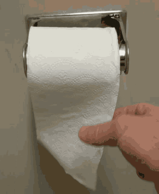 Toilet Paper Dio Opinion GIF - Toilet Paper Dio Opinion Toilet Roll GIFs