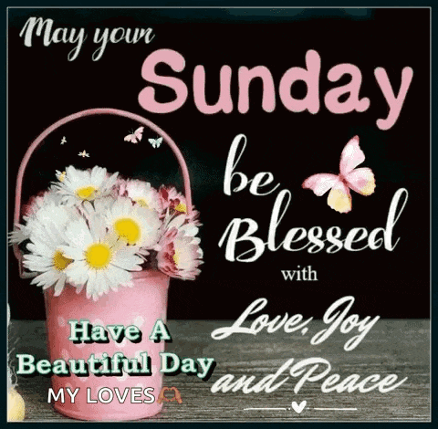 may your sunday be blessed with love , joy and peace have a beautiful day my loves .