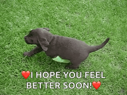 a puppy is playing with a frisbee in the grass .