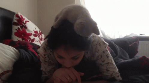 What Happens Next?! GIF - Cats Kittens Reading GIFs