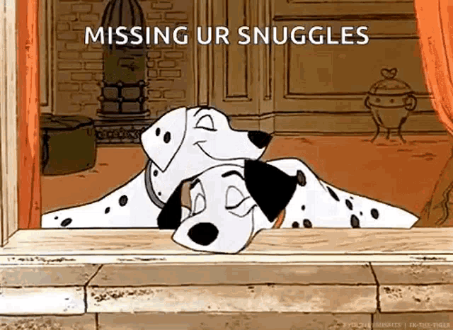 two dalmatian dogs are hugging each other in a window .