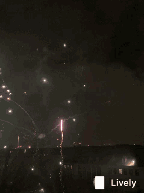 a pink fireworks display with a lively icon in the corner