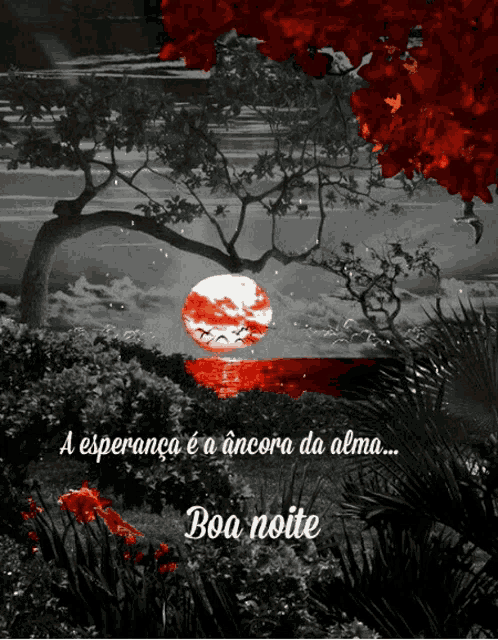 a black and white photo of a tree with the words boa noite written below it