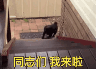 a black cat is walking down a set of stairs with chinese writing on the bottom