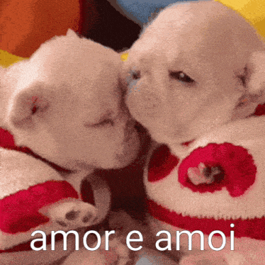 two puppies wearing red and white sweaters with hearts on them kissing