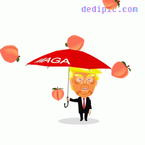 Trump Maga GIF - Trump Maga Impeachment GIFs