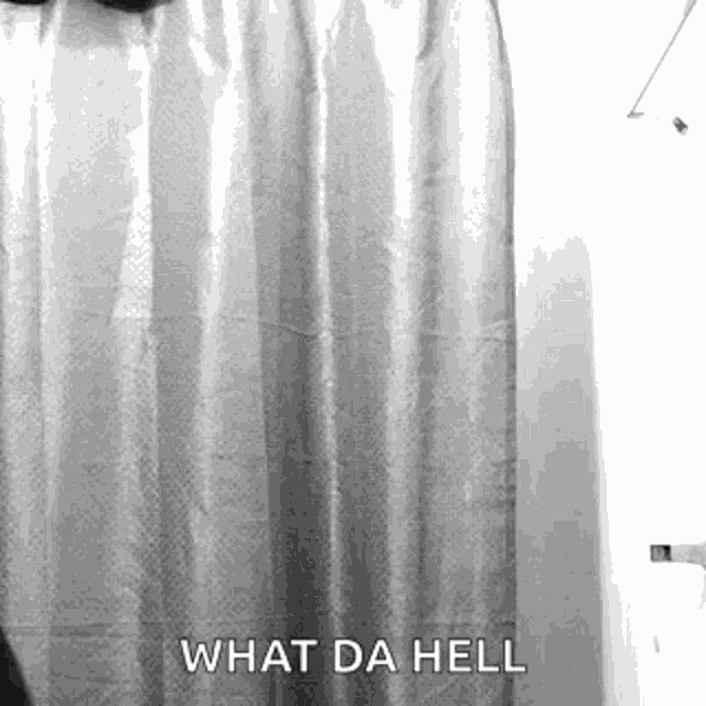 a black and white photo of a shower curtain and the words `` what da hell '' .