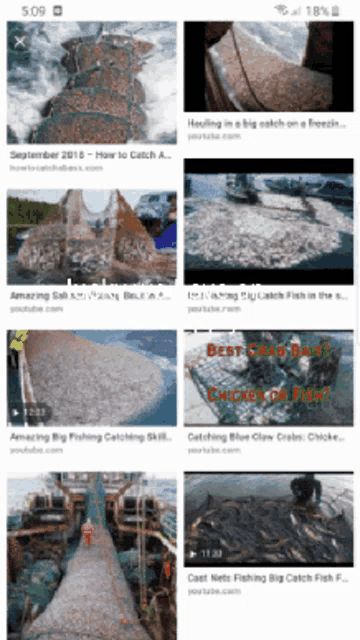 a screenshot of a google search for crab bait chicken fish