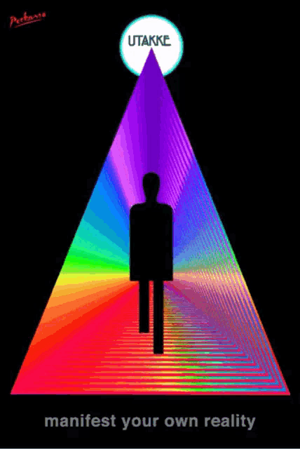 a poster that says manifest your own reality with a silhouette of a man