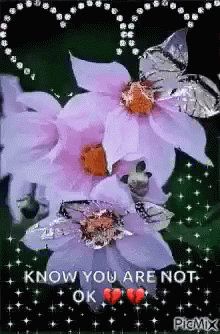 You Are Not Okay Are You Okay GIF - You Are Not Okay Are You Okay Flowers GIFs