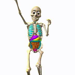 a cartoon skeleton is smiling and giving a thumbs up sign