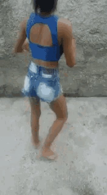 Cat GIF